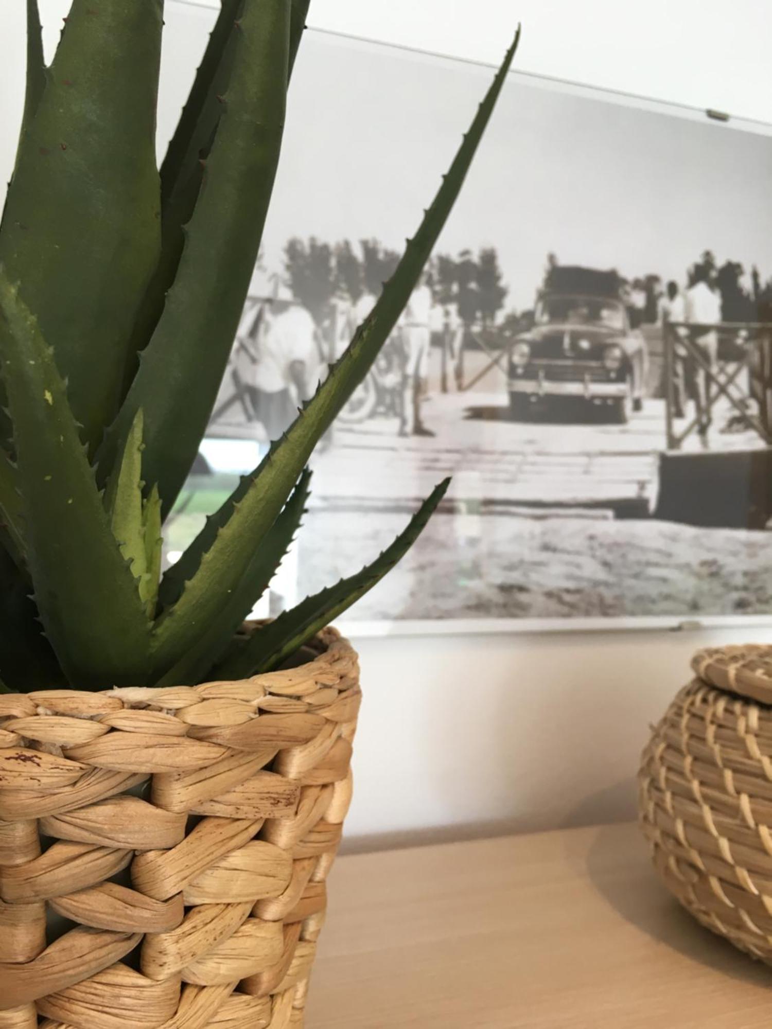 Apartament Lo Passador Deltebre Dış mekan fotoğraf