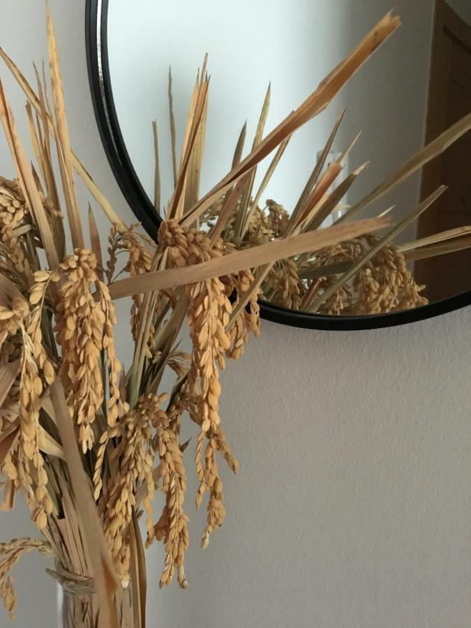 Apartament Lo Passador Deltebre Dış mekan fotoğraf